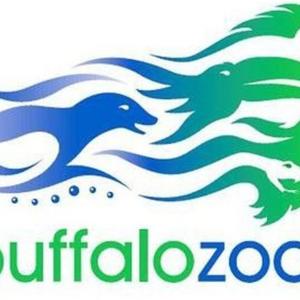 logo-buffalo-suzuki-strings.png